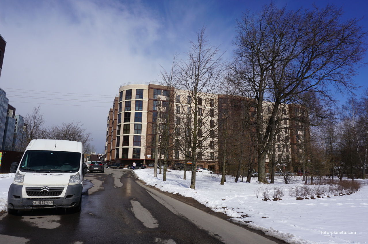 Сестрорецк.