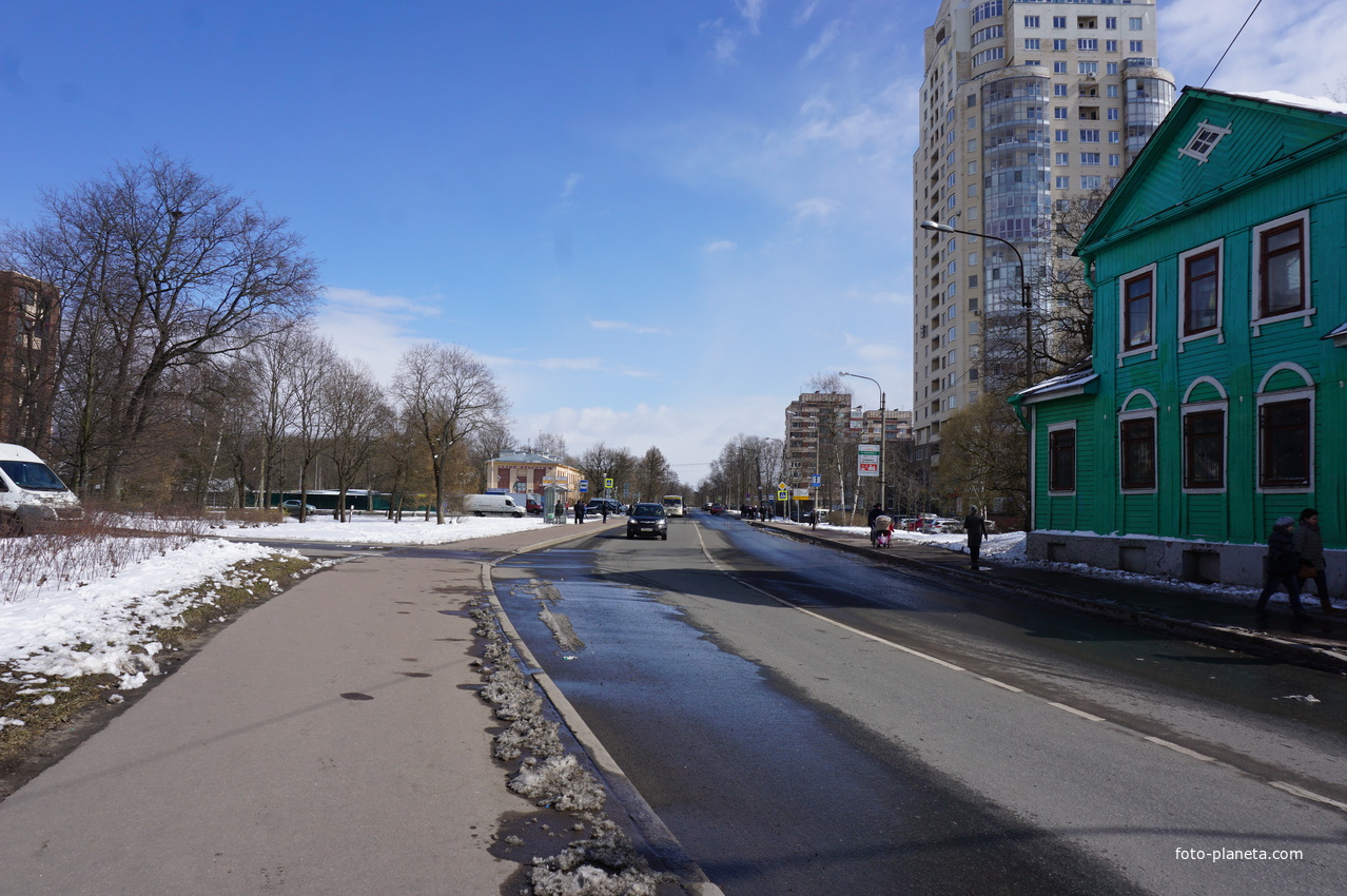 Сестрорецк.