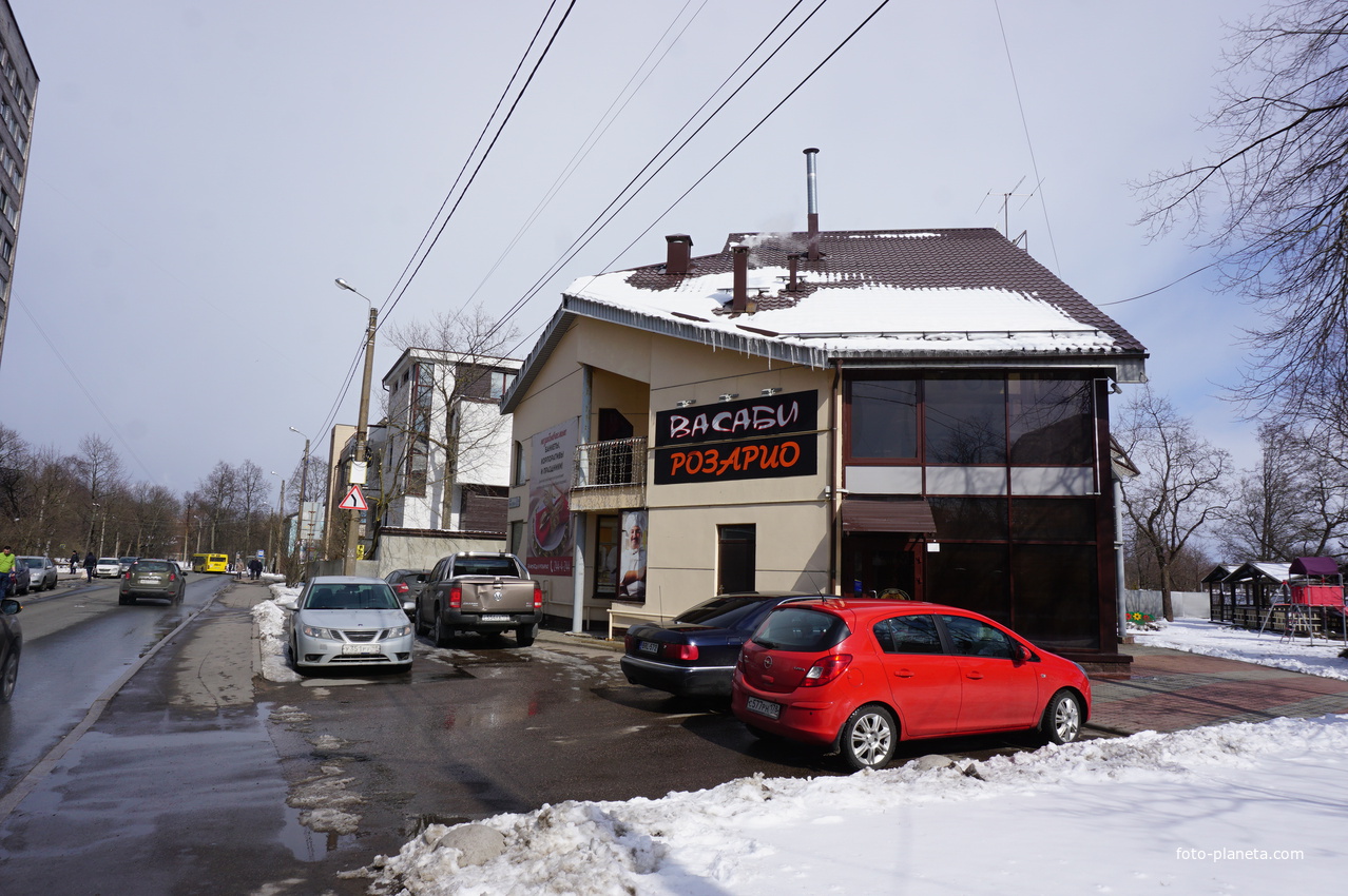 Сестрорецк.