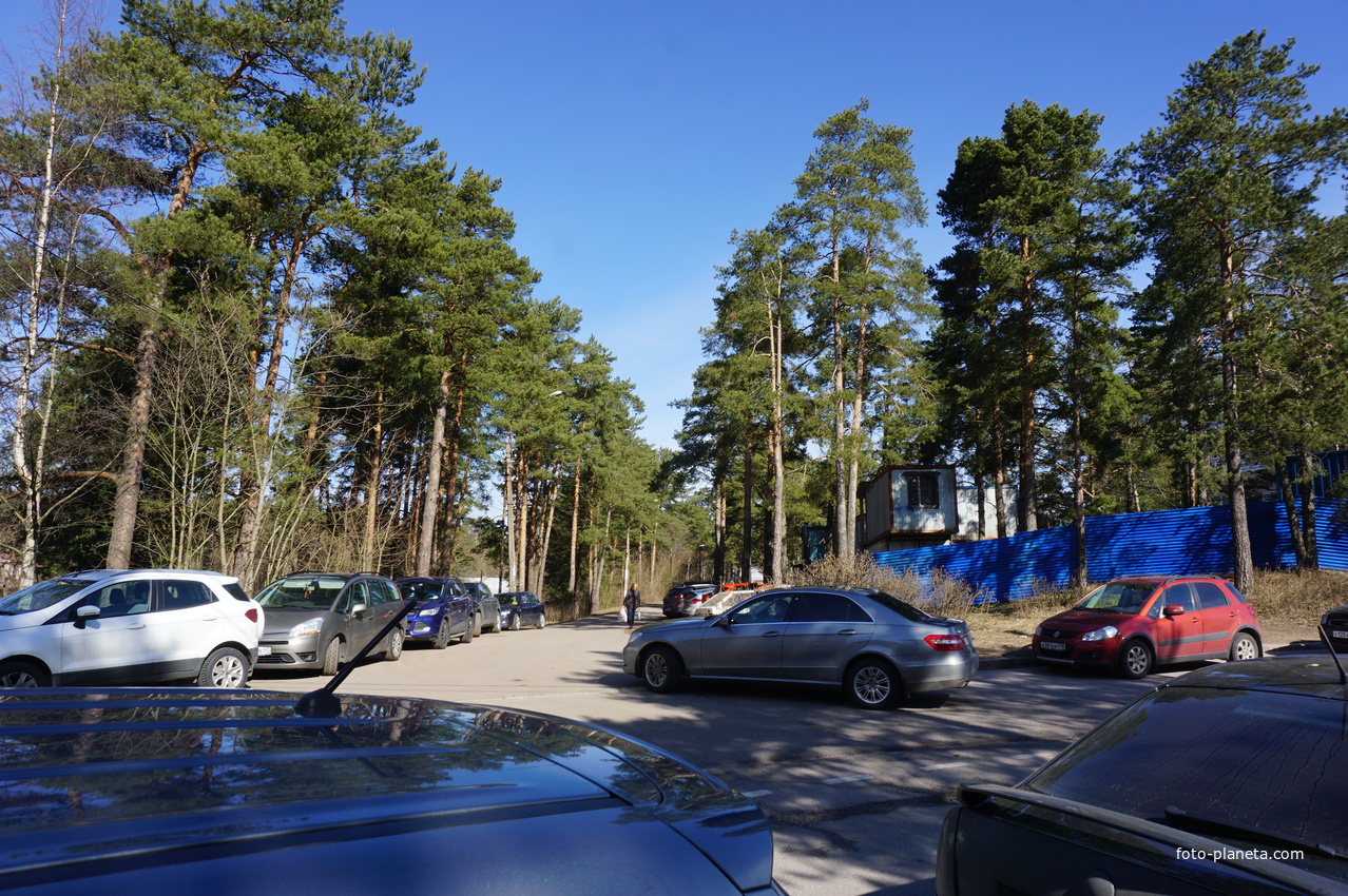 г.Сестрорецк.