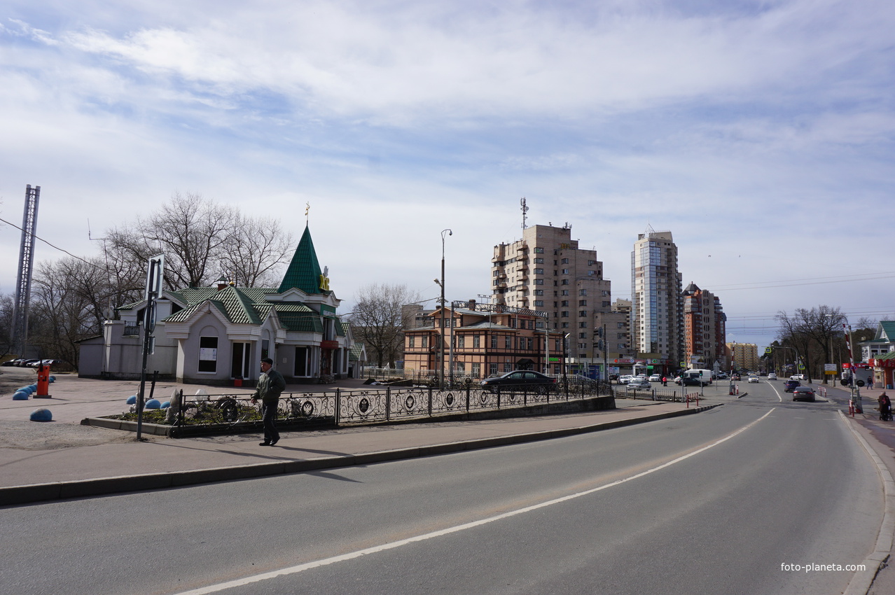 г.Сестрорецк.