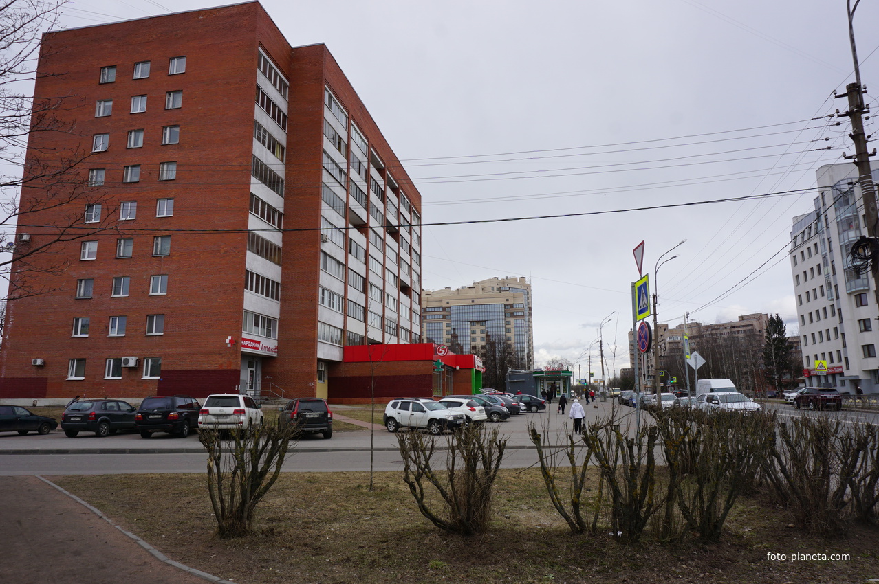 г.Сестрорецк.