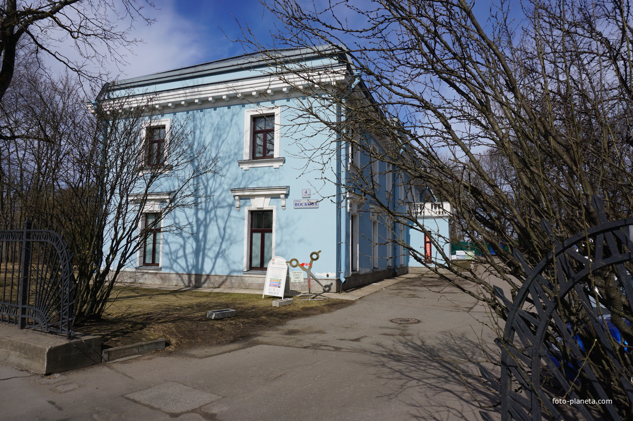 г.Сестрорецк.