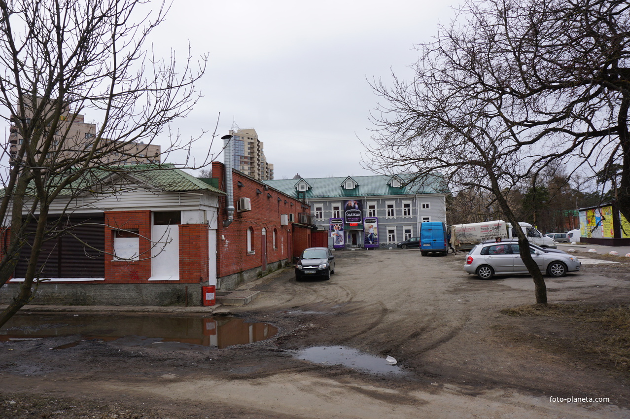 Сестрорецк.