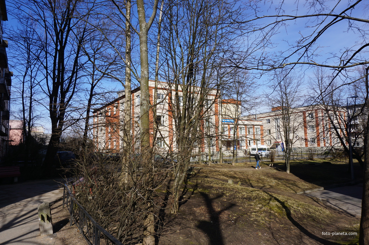 Сестрорецк.