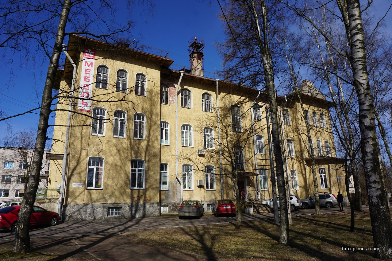 Сестрорецк.