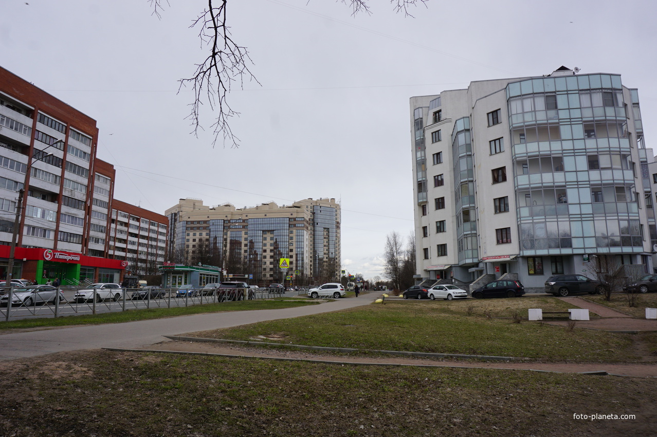 Сестрорецк.