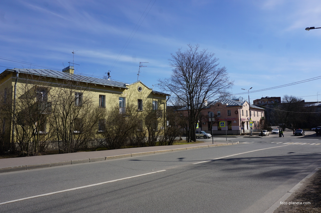 Сестрорецк.