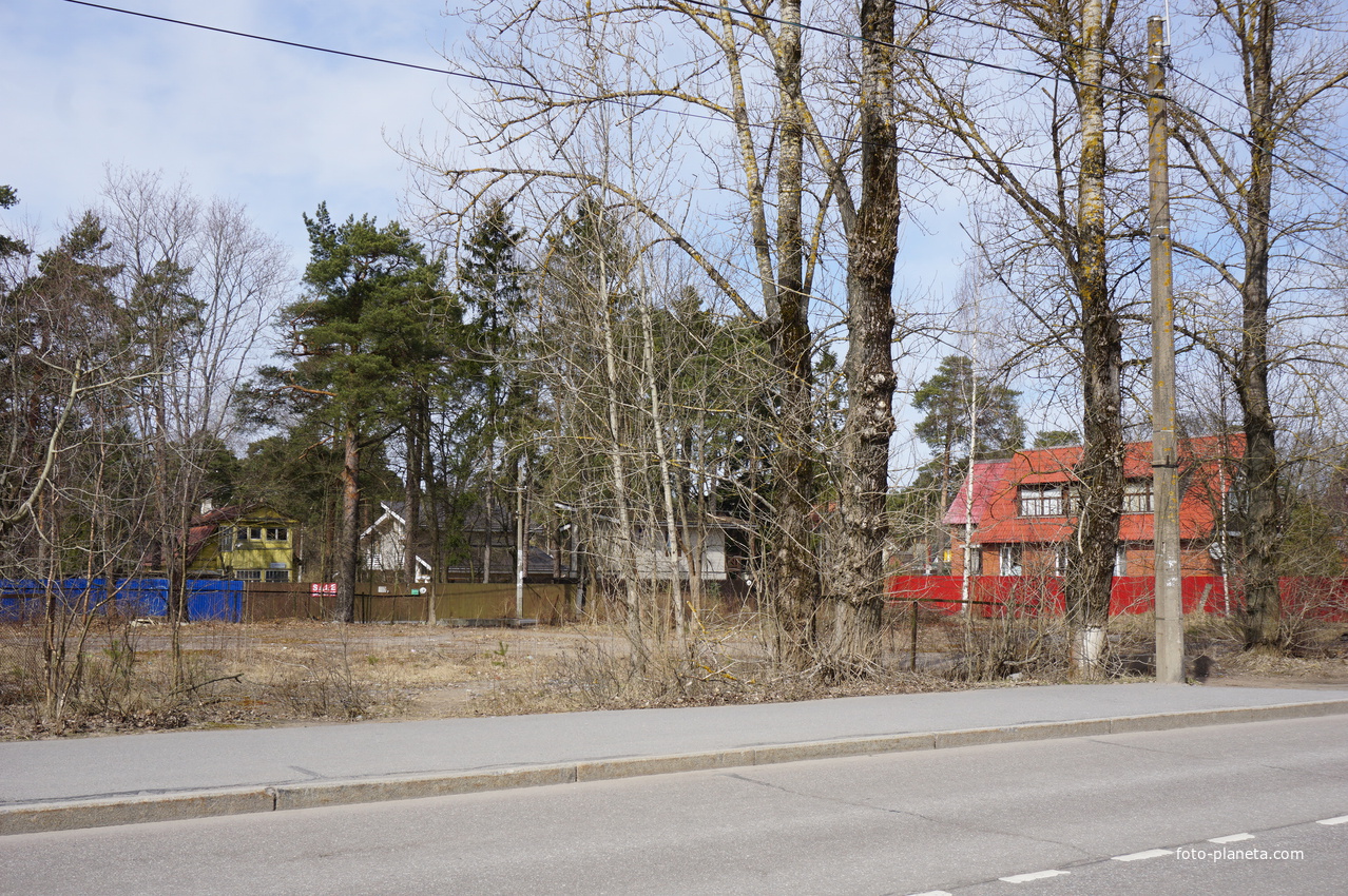 Сестрорецк.