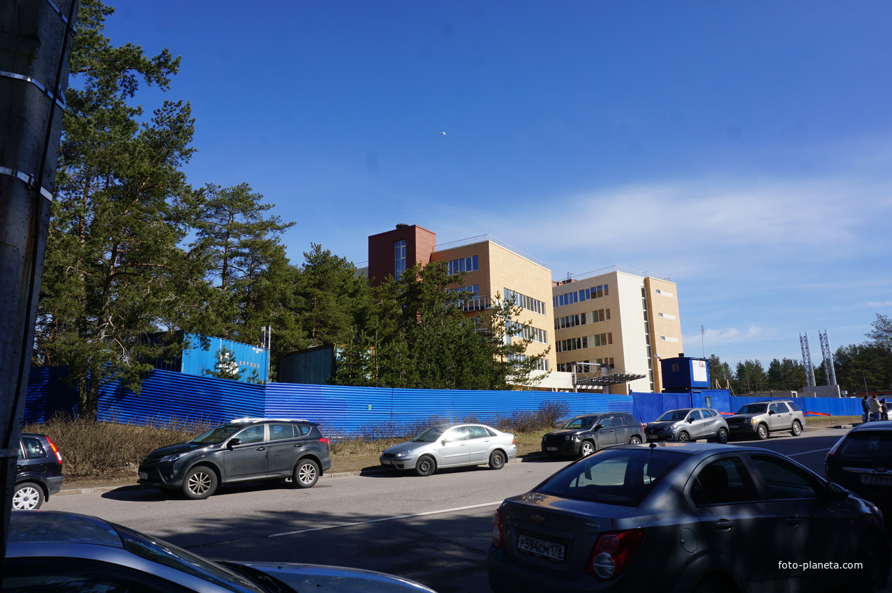 Сестрорецк.