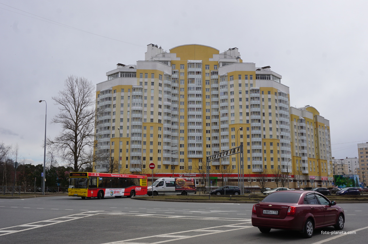 Сестрорецк.