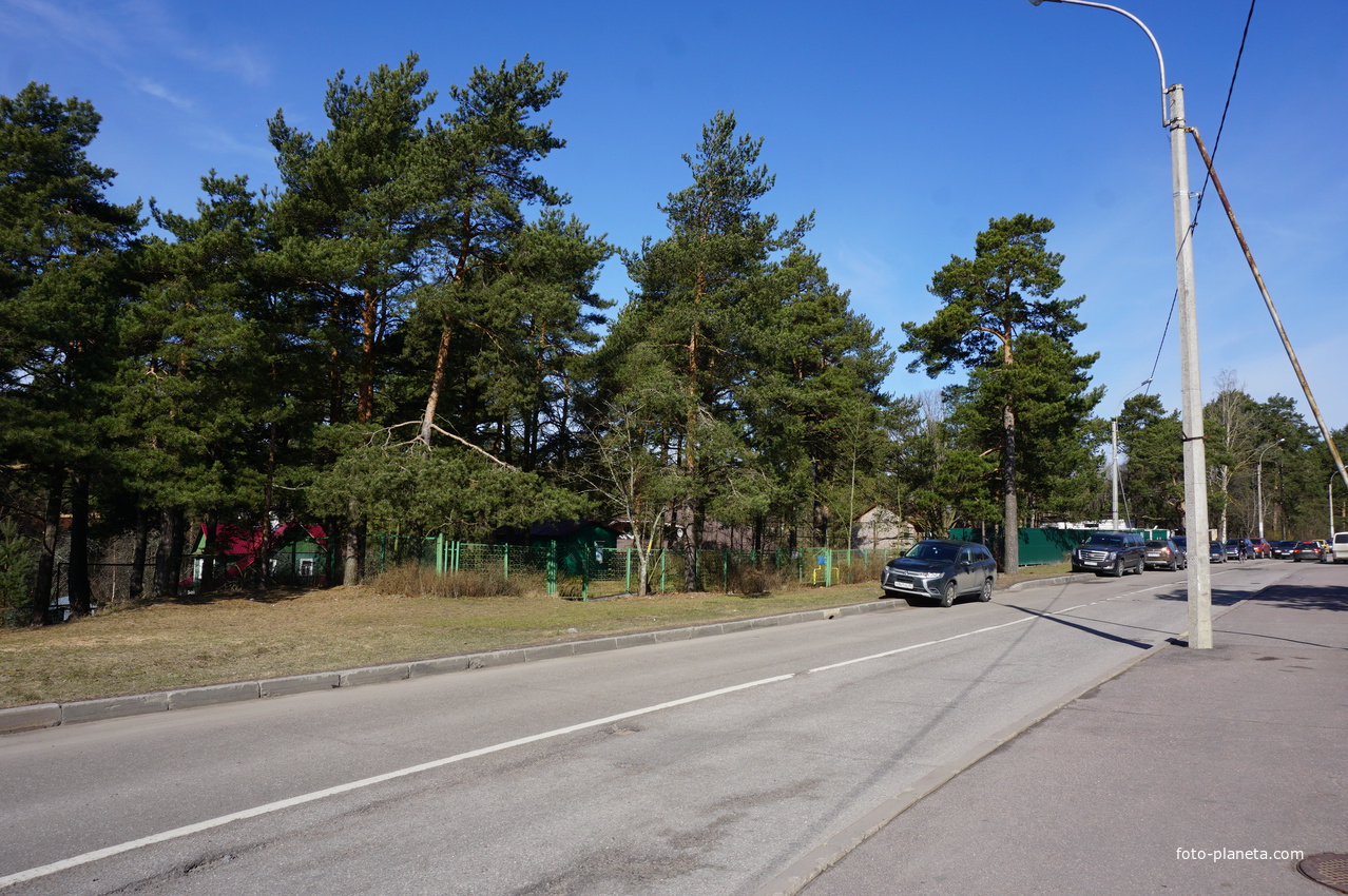 Сестрорецк.