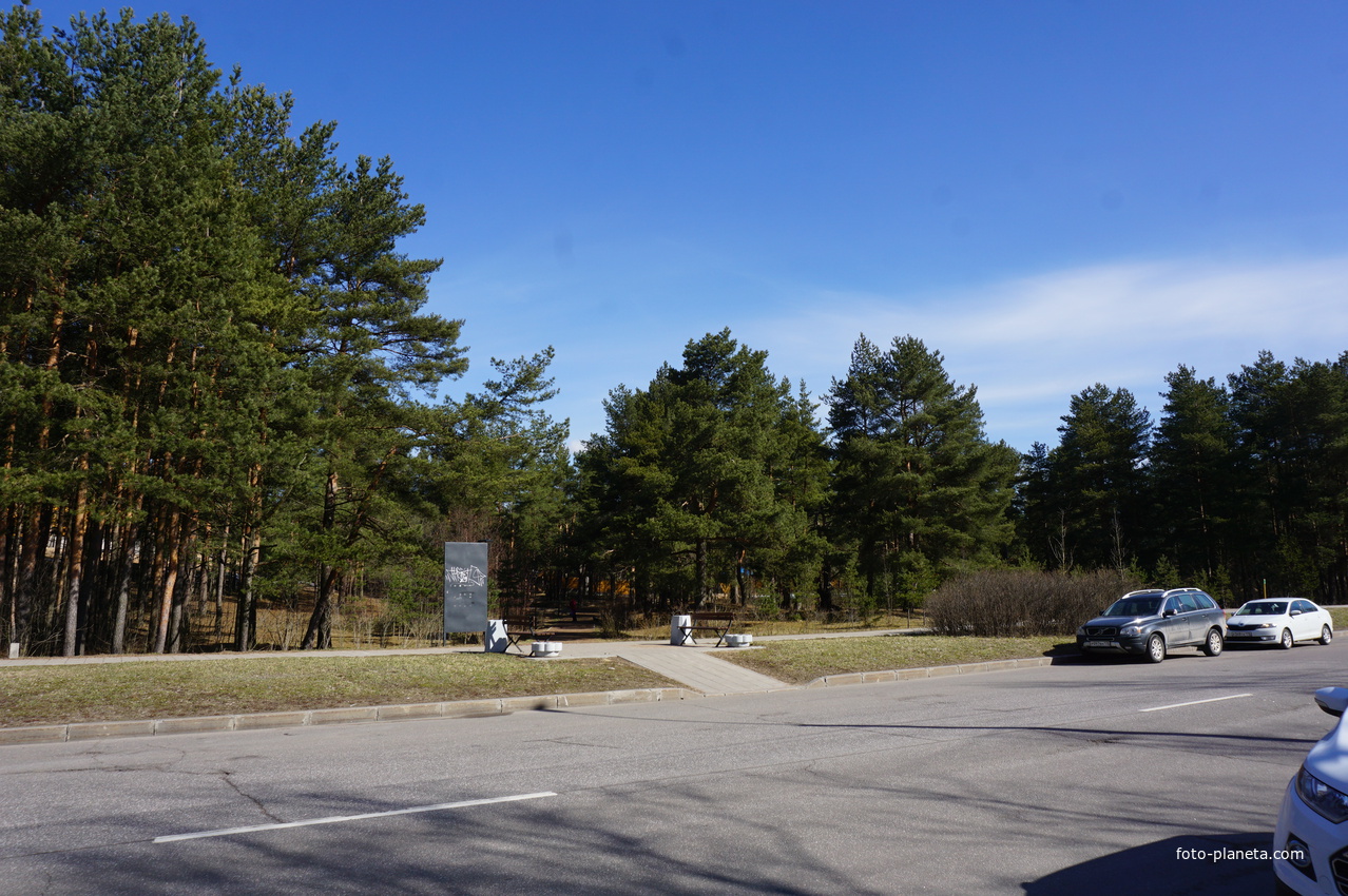 Сестрорецк.