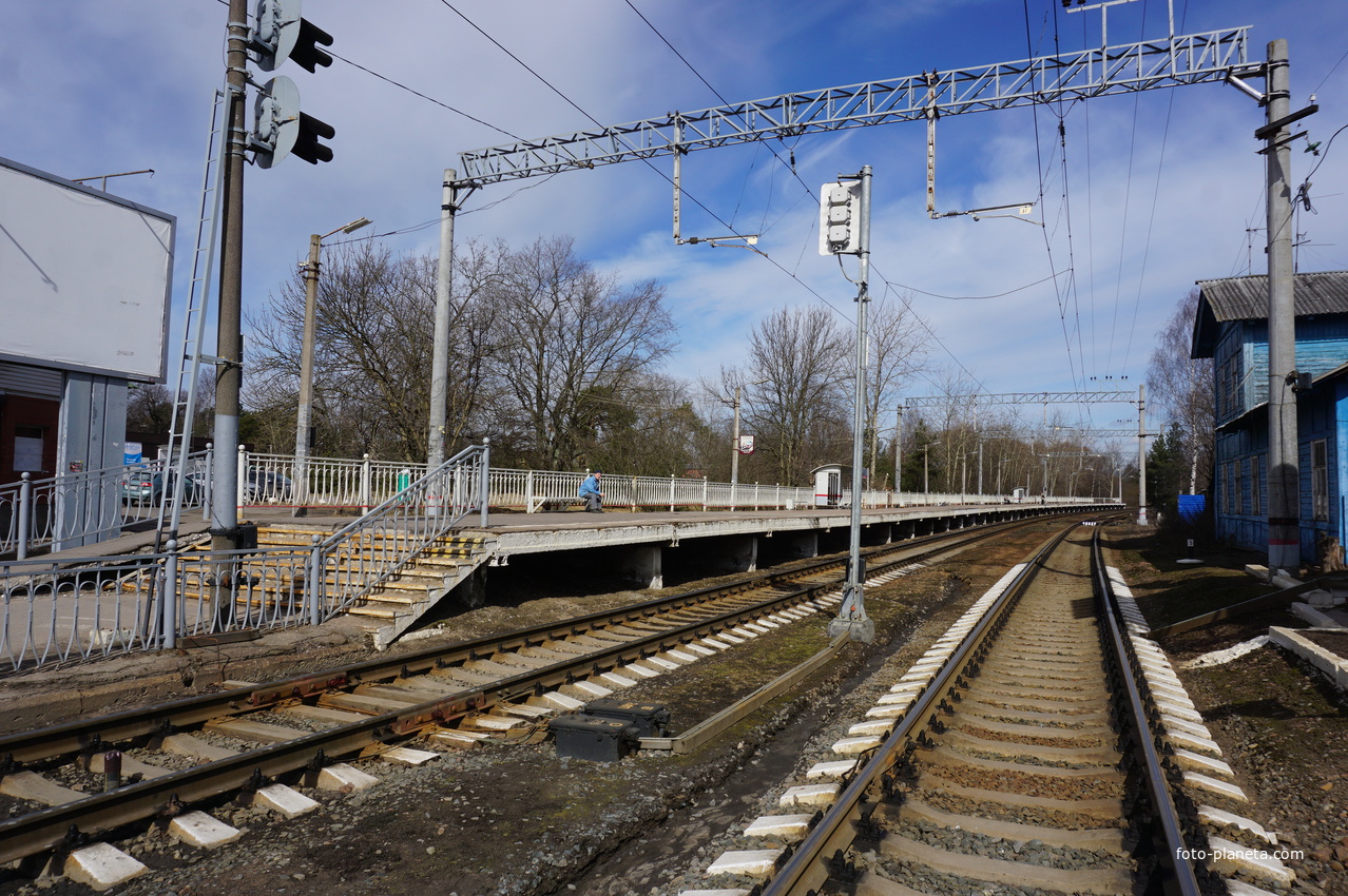 Платформа Сестрорецк.