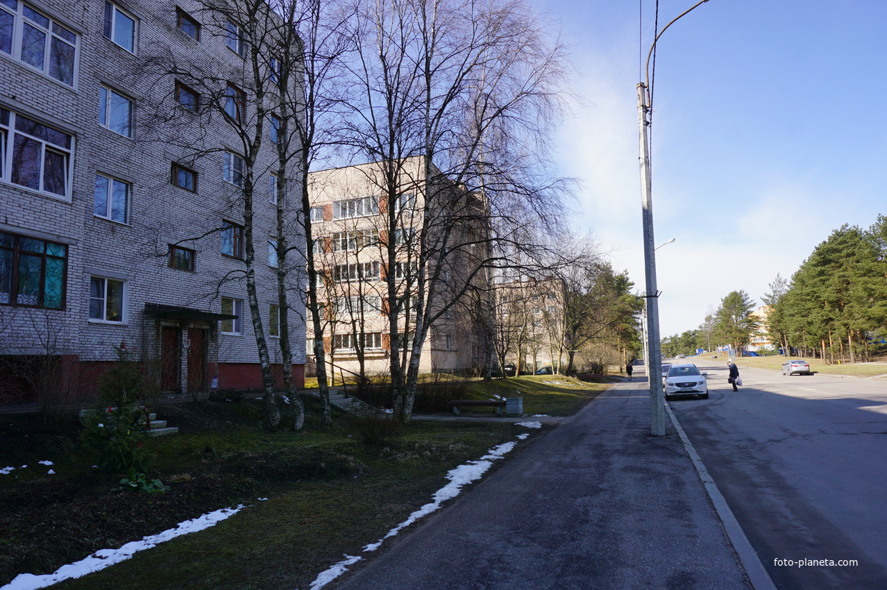 Сестрорецк.