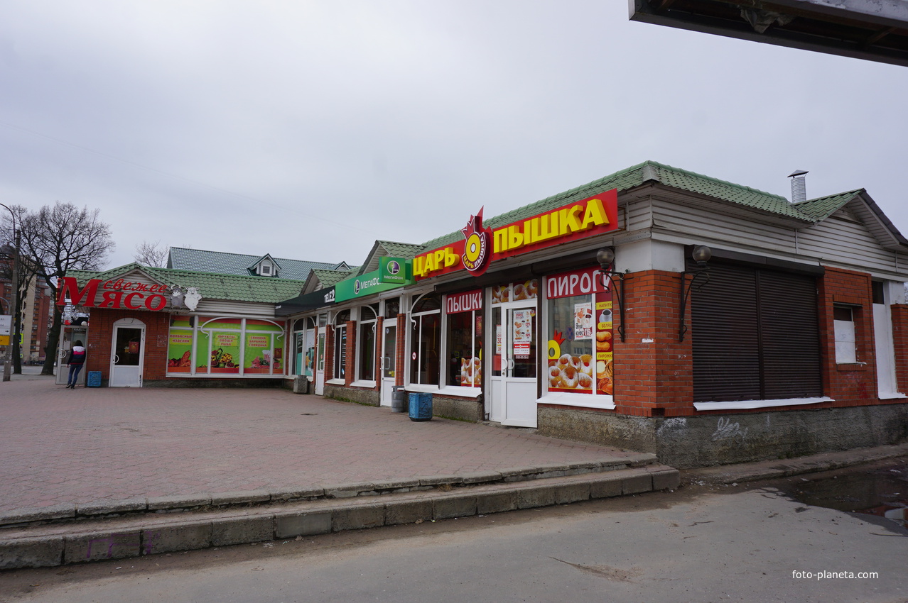 Сестрорецк.