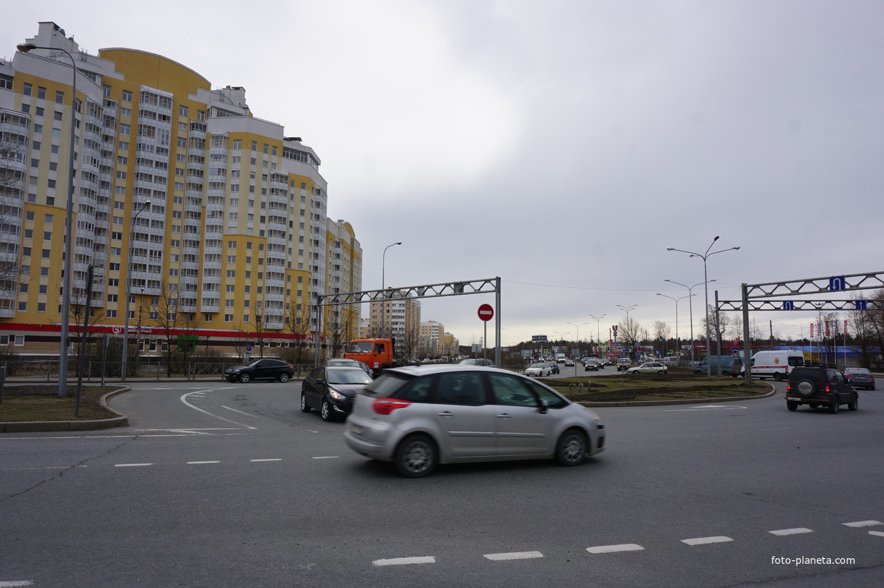 Сестрорецк.