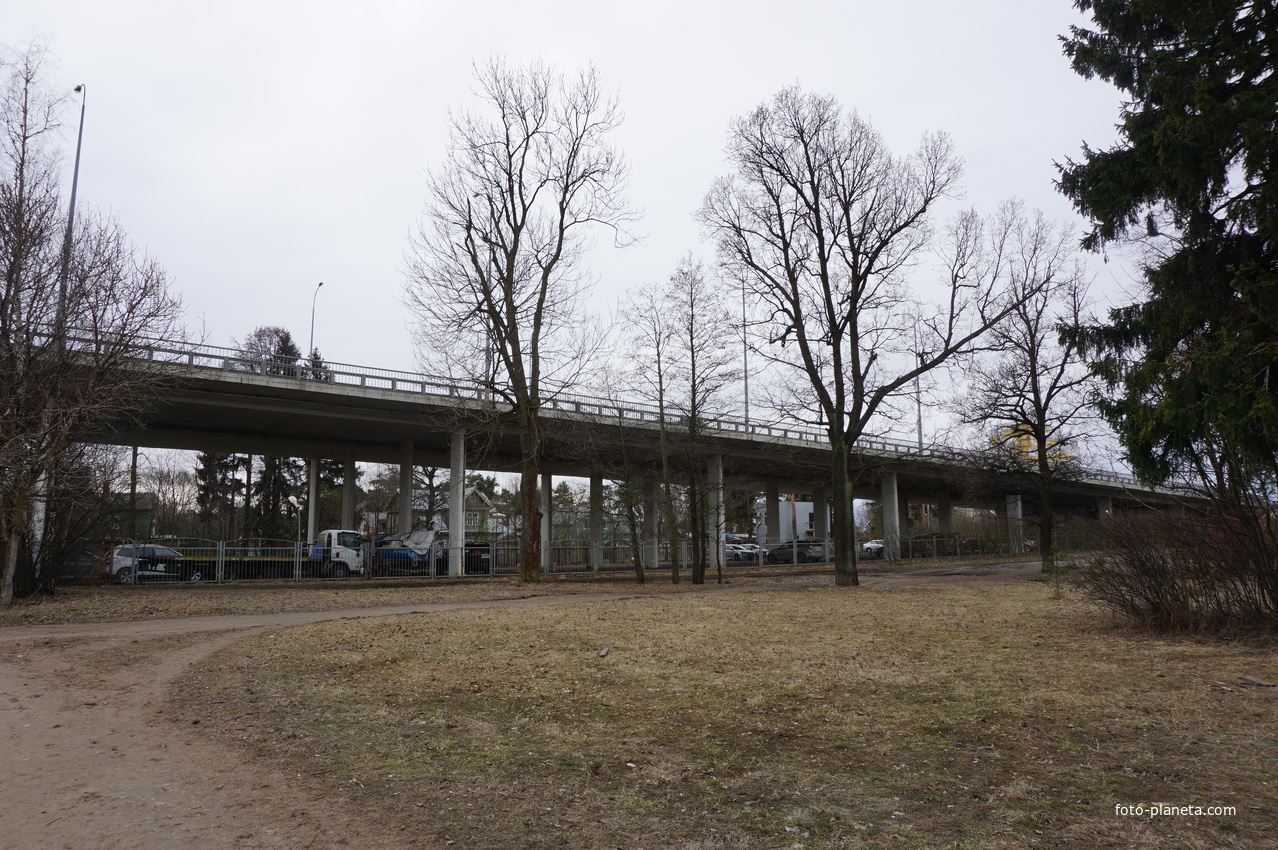 Путепровод.Приморское шоссе.