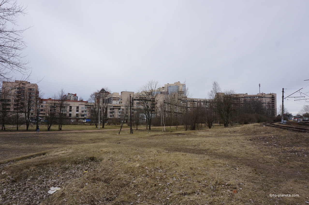 Сестрорецк.