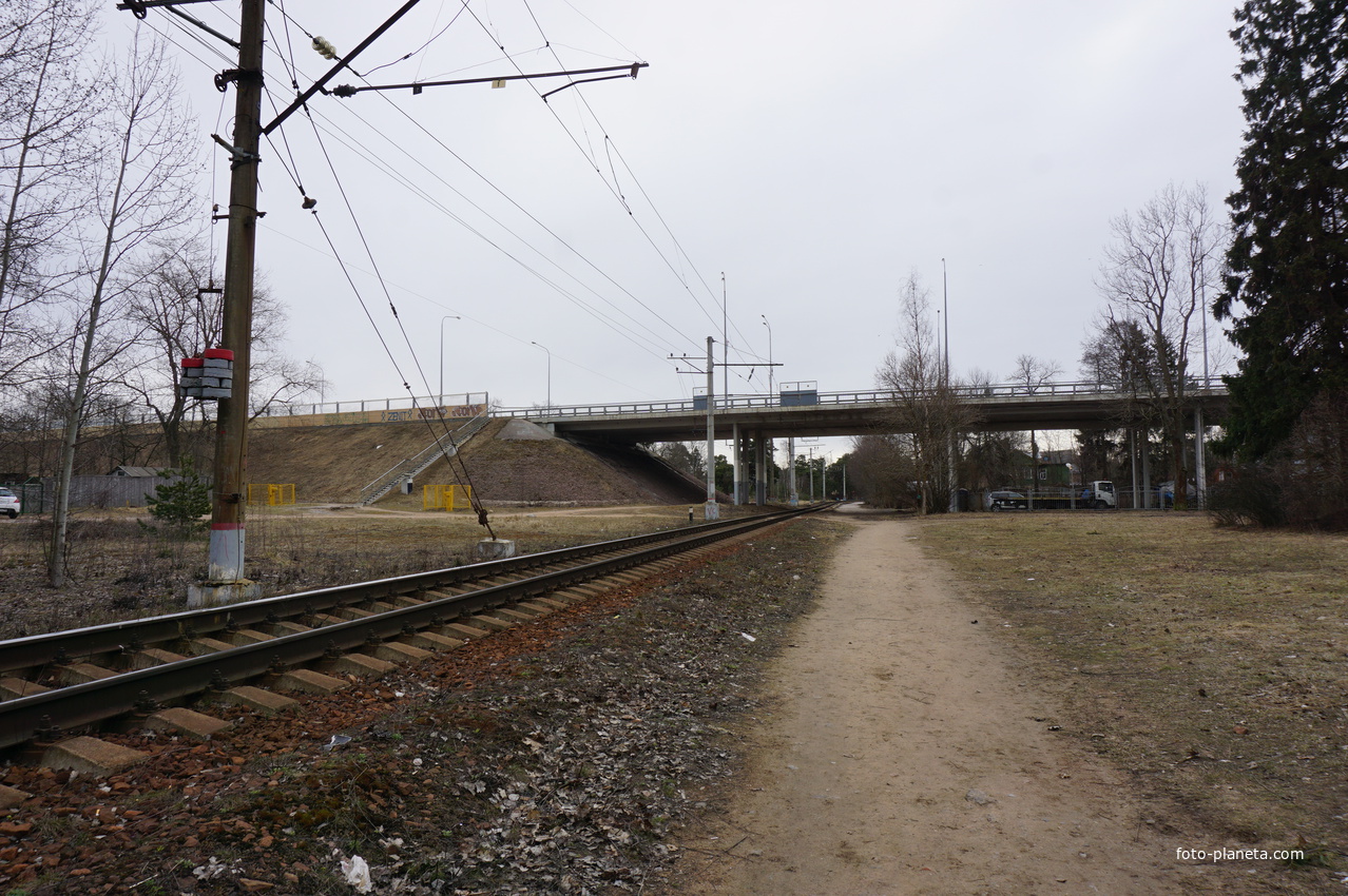 Приморское шоссе.Путепровод.