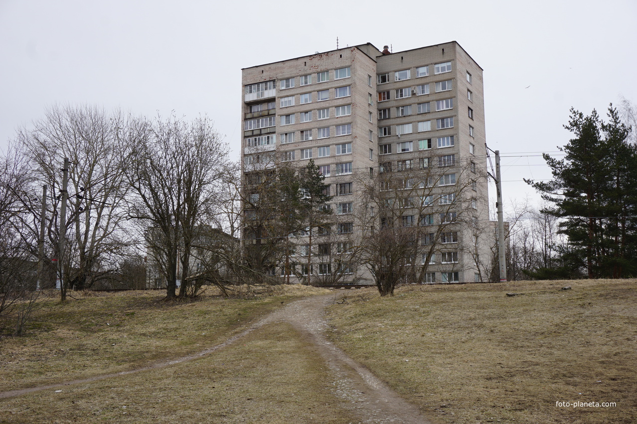 Сестрорецк.