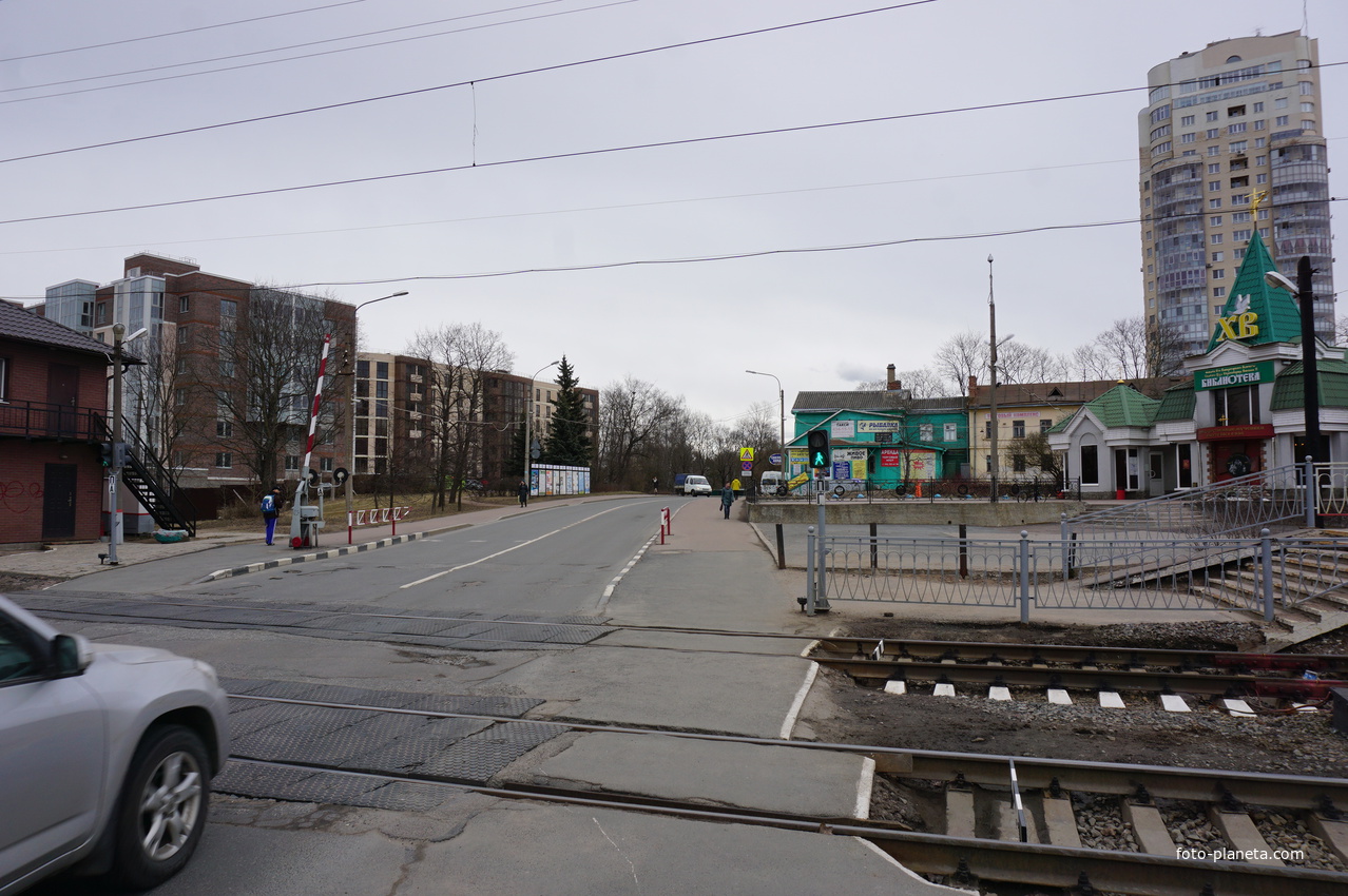 Сестрорецк.