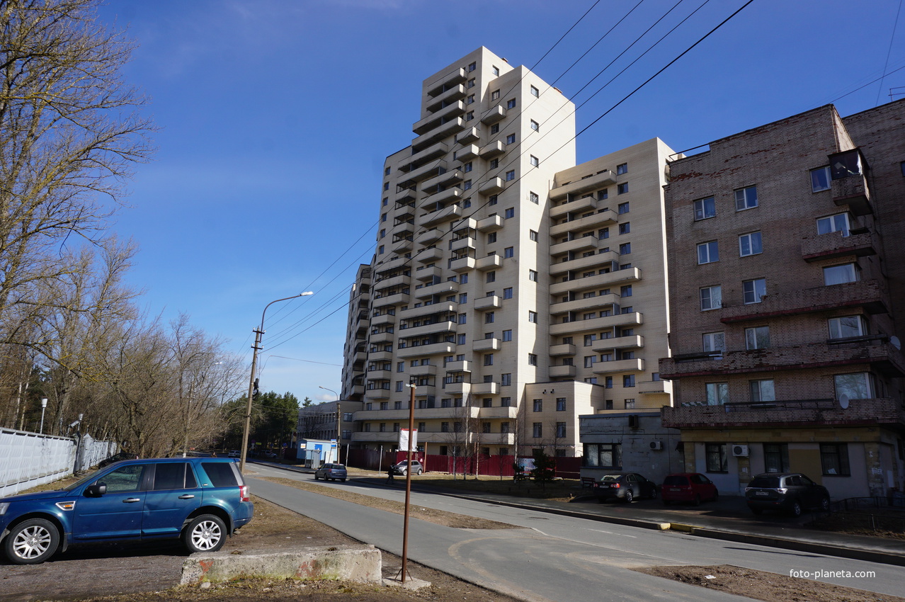 Сестрорецк.