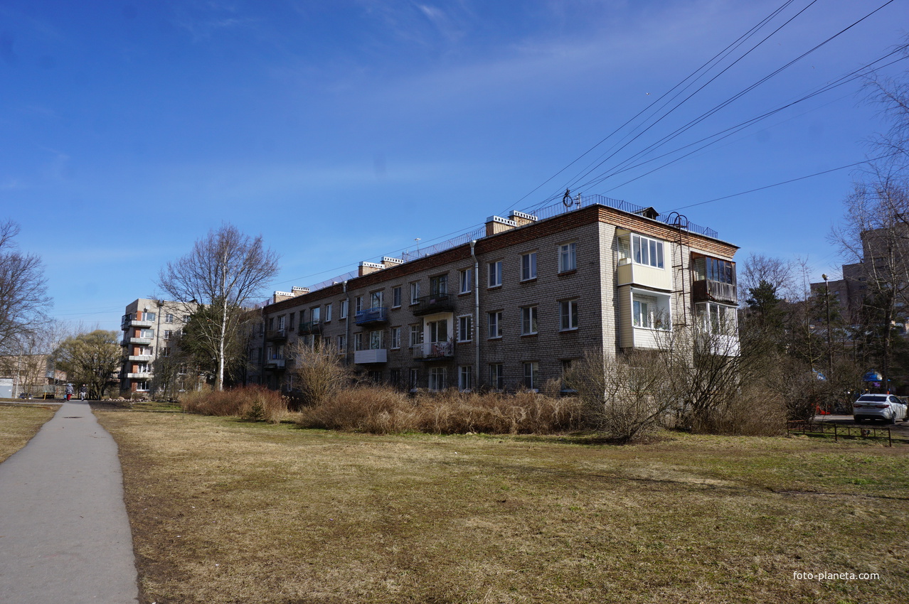 г.Сестрорецк.