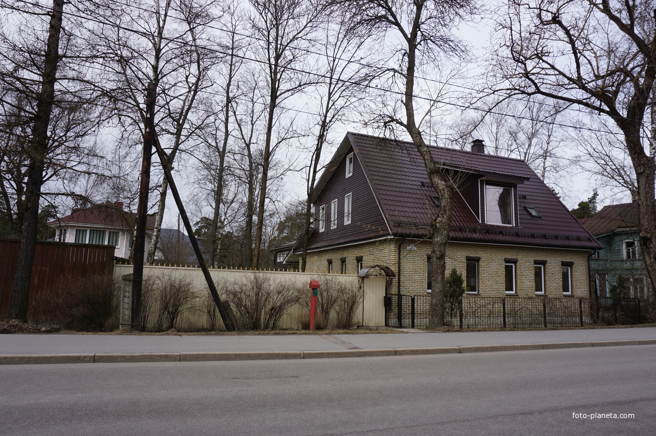 г.Сестрорецк.