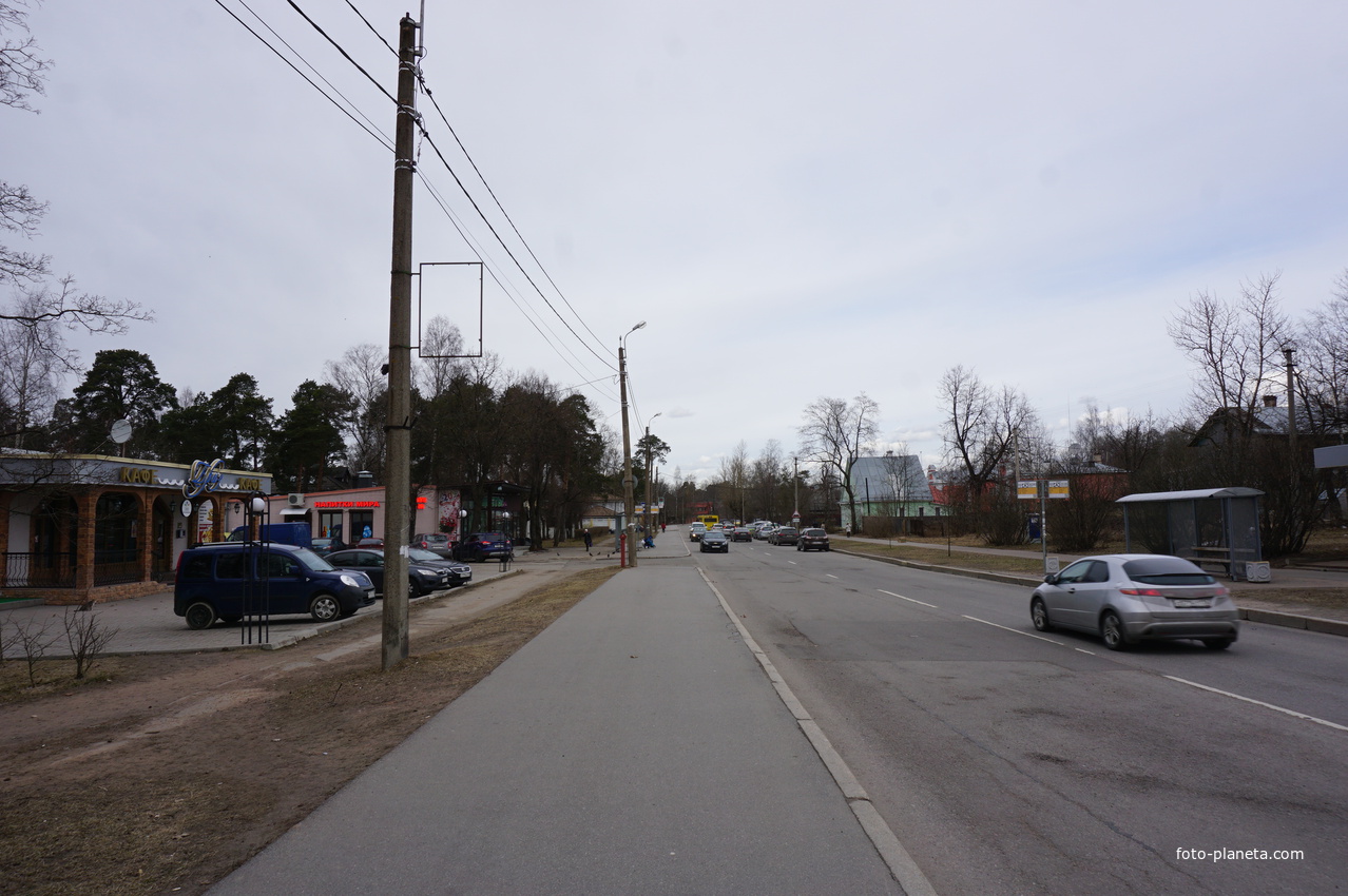 г.Сестрорецк.