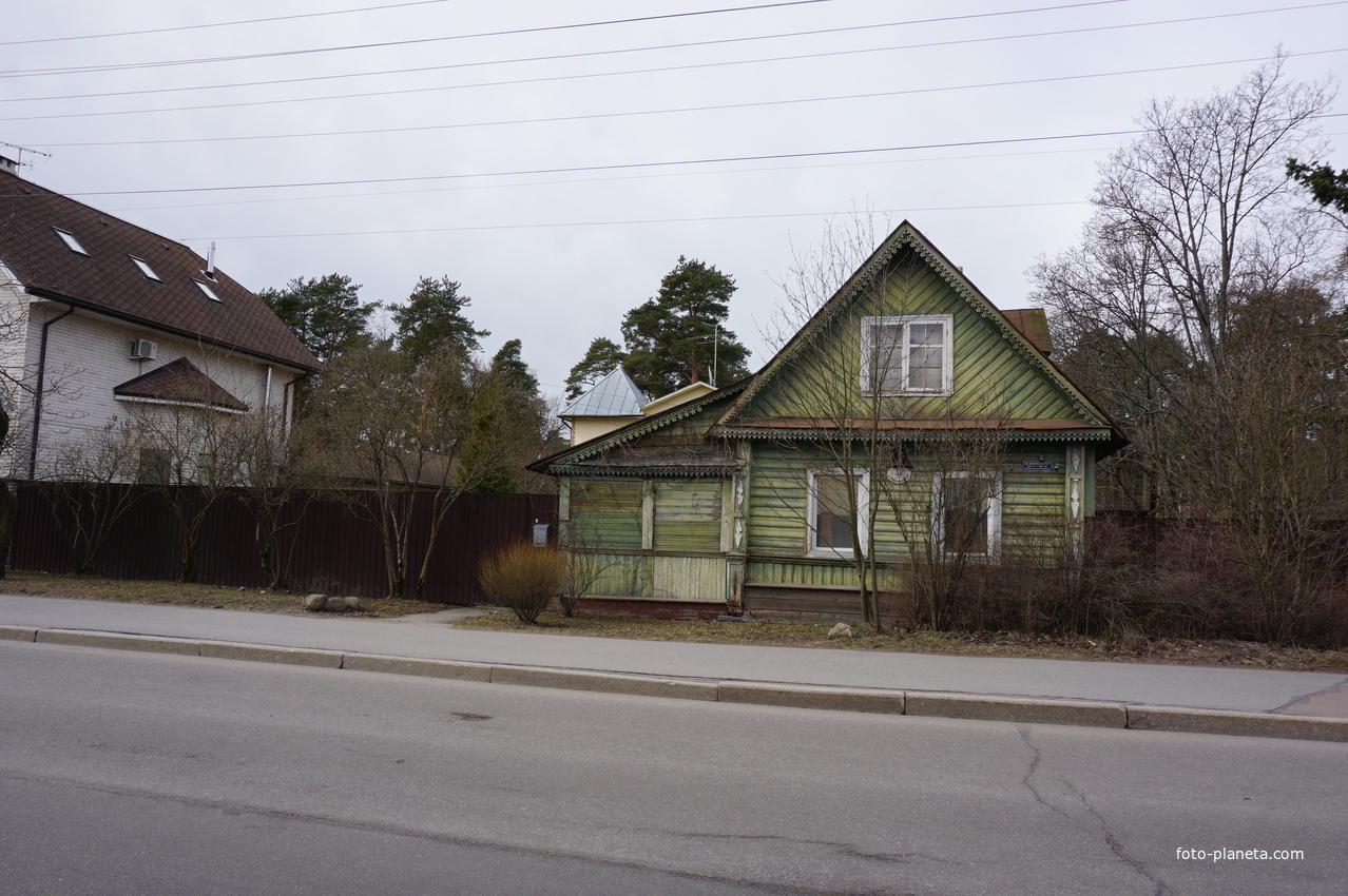 г.Сестрорецк.