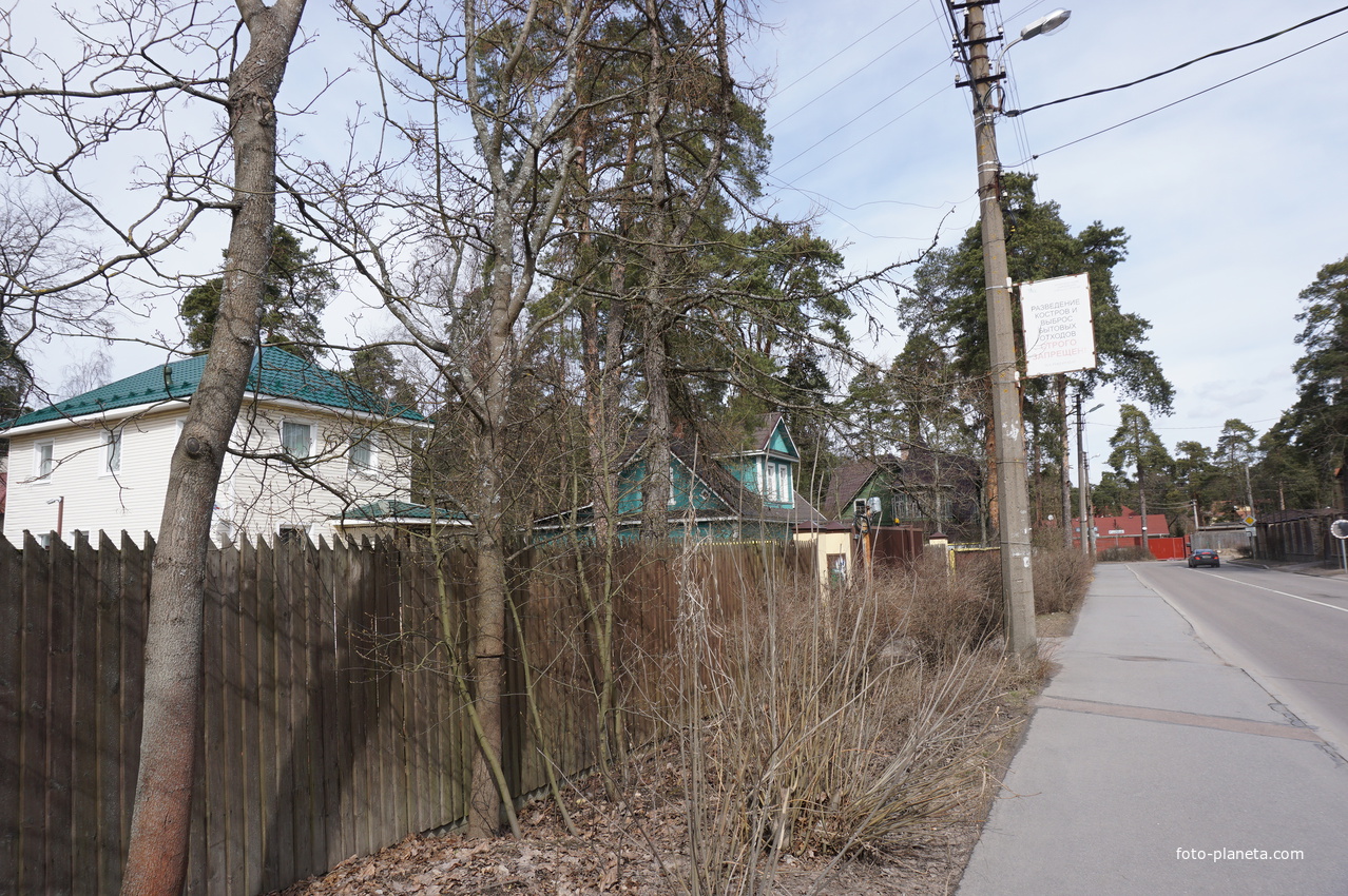 г.Сестрорецк.