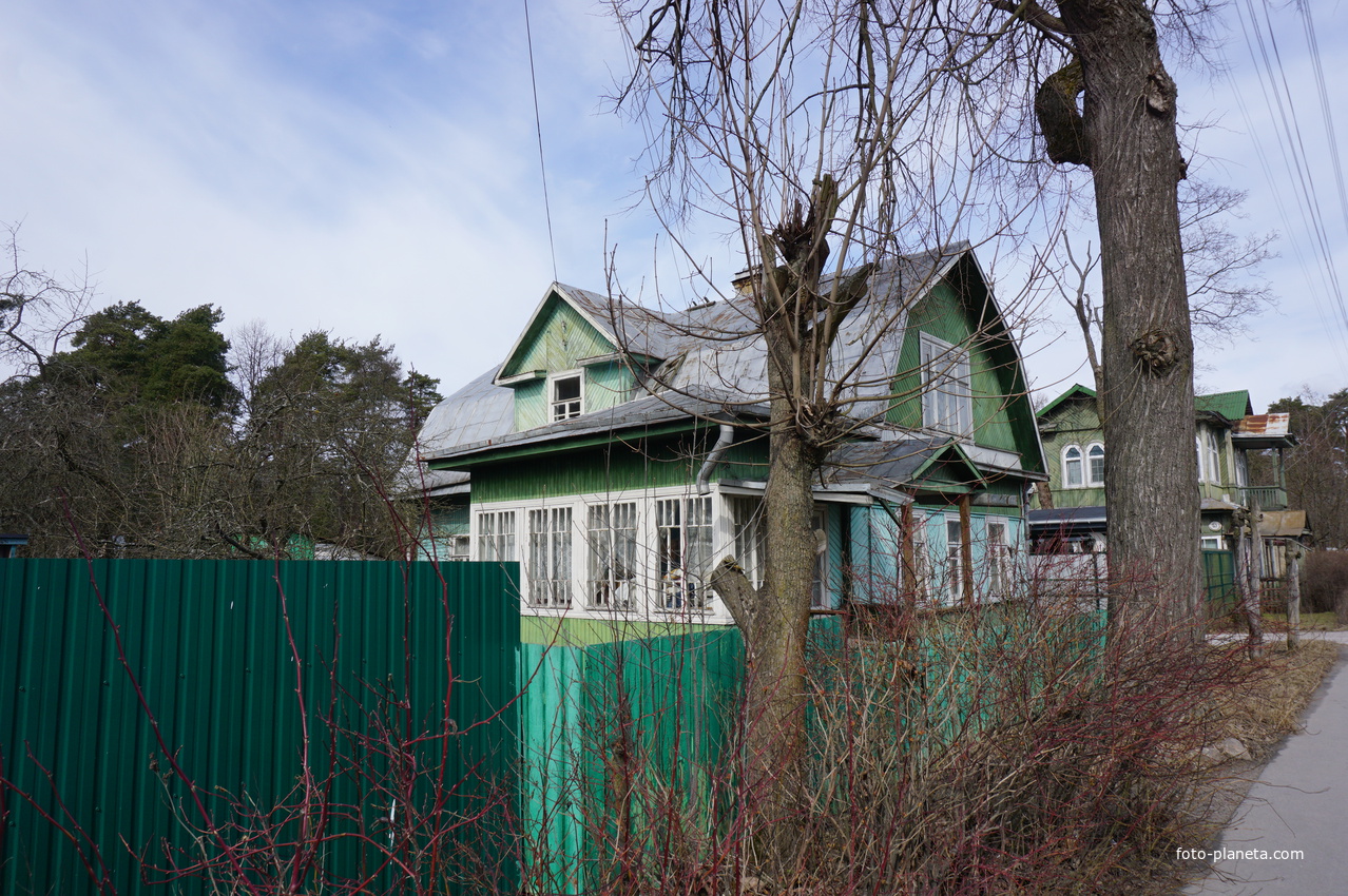 г.Сестрорецк.