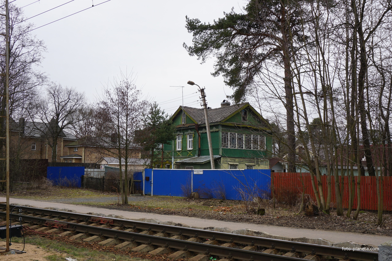 г.Сестрорецк.