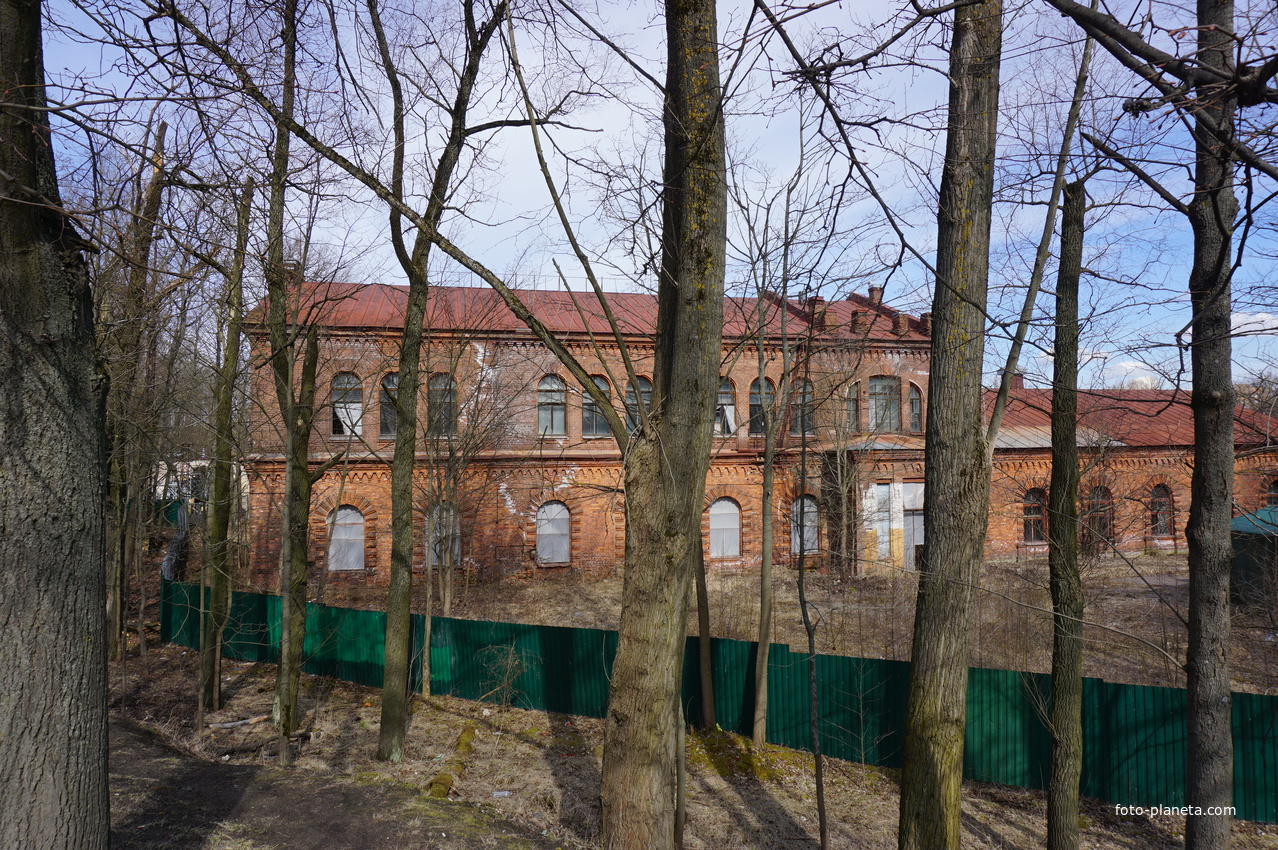 г.Сестрорецк.