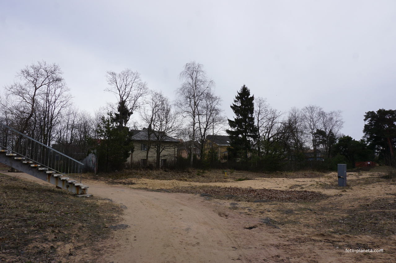 г.Сестрорецк.