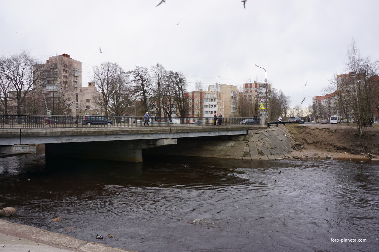 г.Сестрорецк.