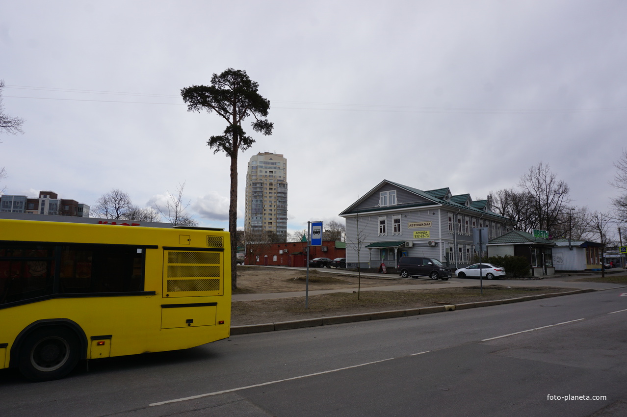 г.Сестрорецк.