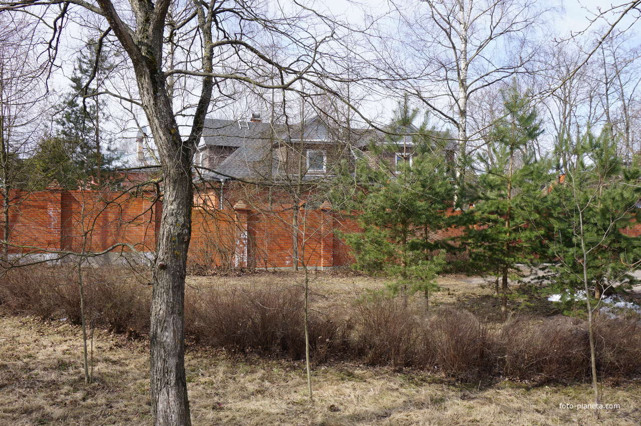 г.Сестрорецк.