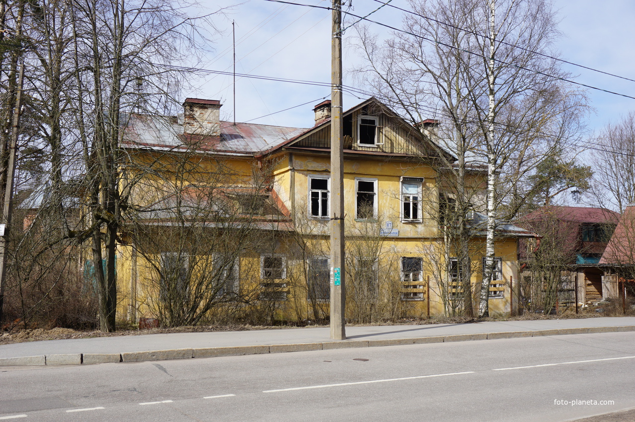 г.Сестрорецк.