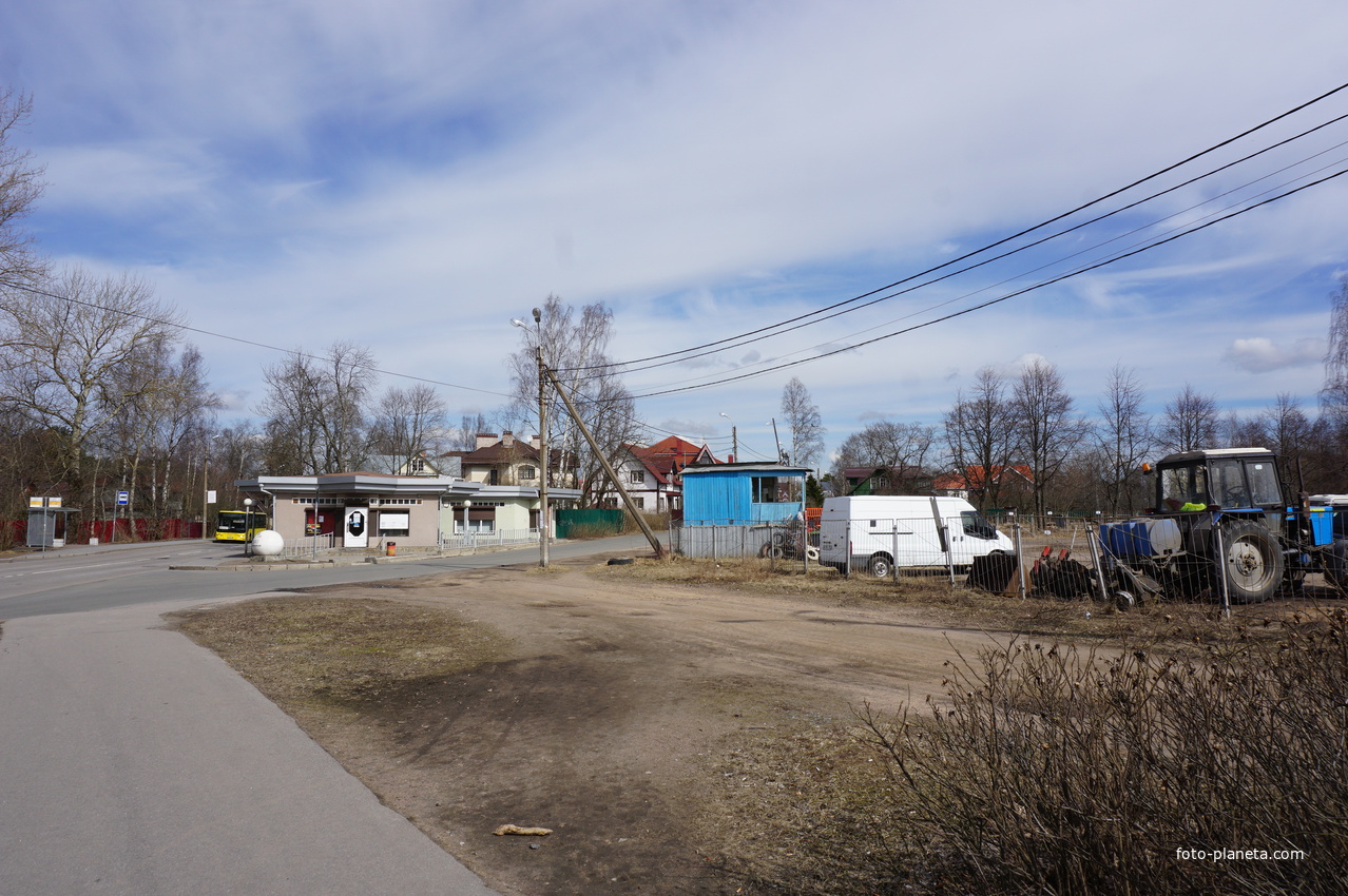 г.Сестрорецк.