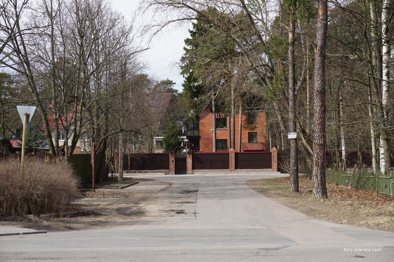 г.Сестрорецк.