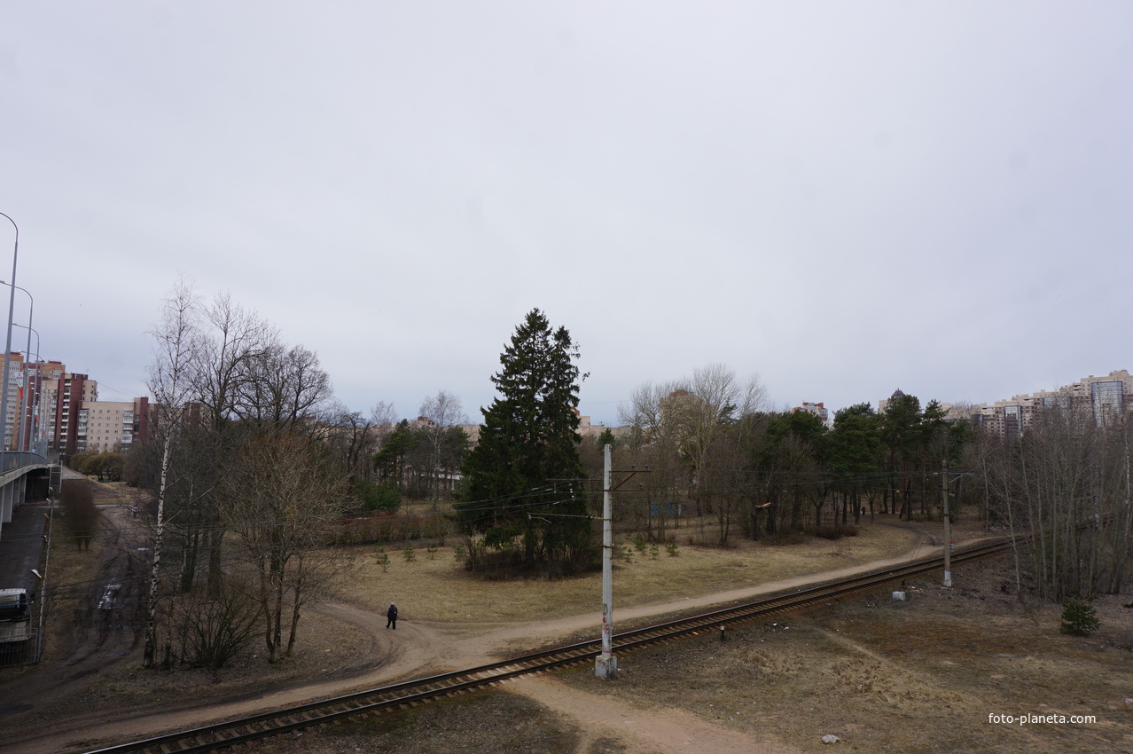 г.Сестрорецк.