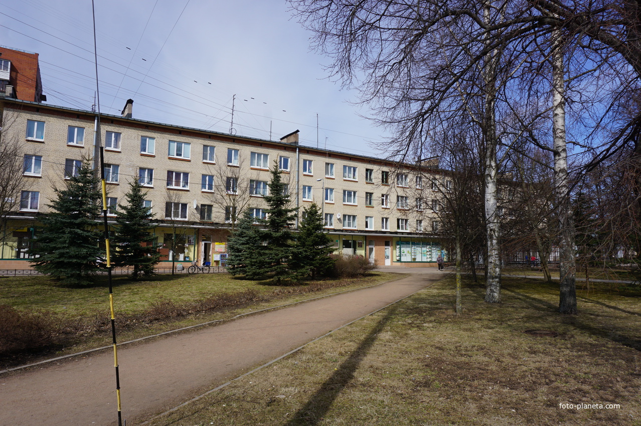 г.Сестрорецк.