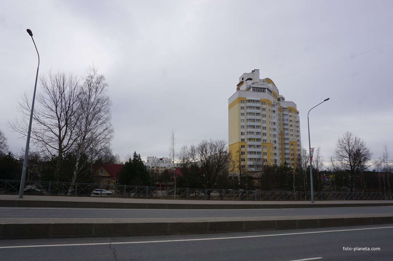 г.Сестрорецк.