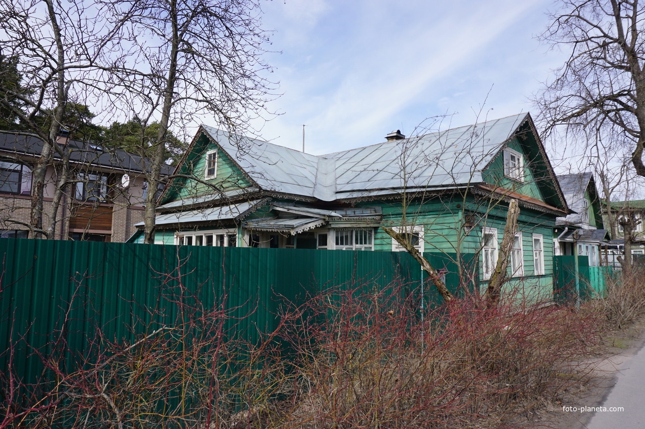 г.Сестрорецк.