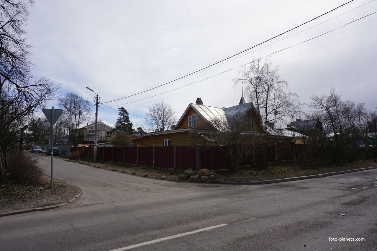 г.Сестрорецк.