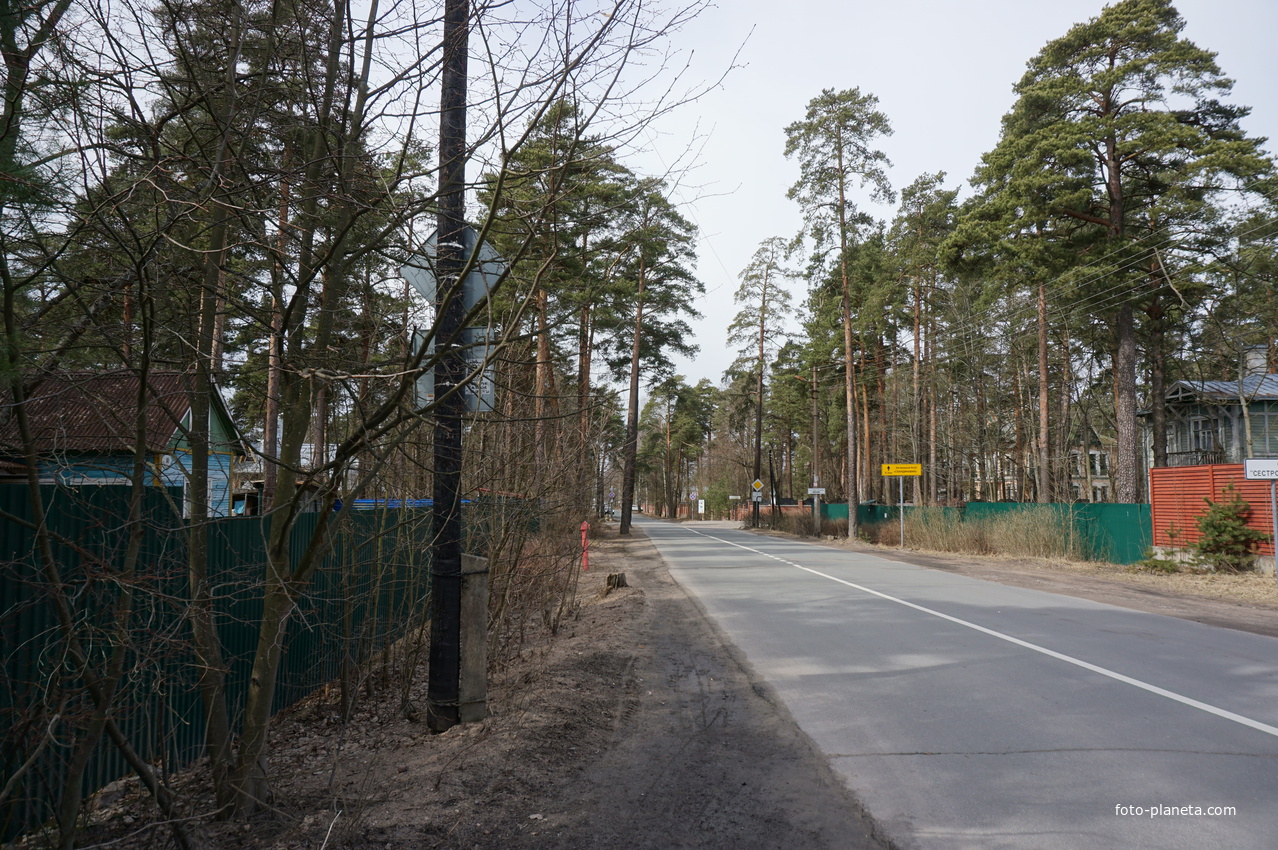 г.Сестрорецк.