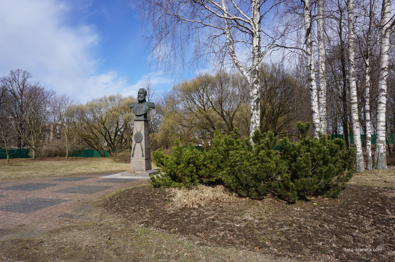 г.Сестрорецк.