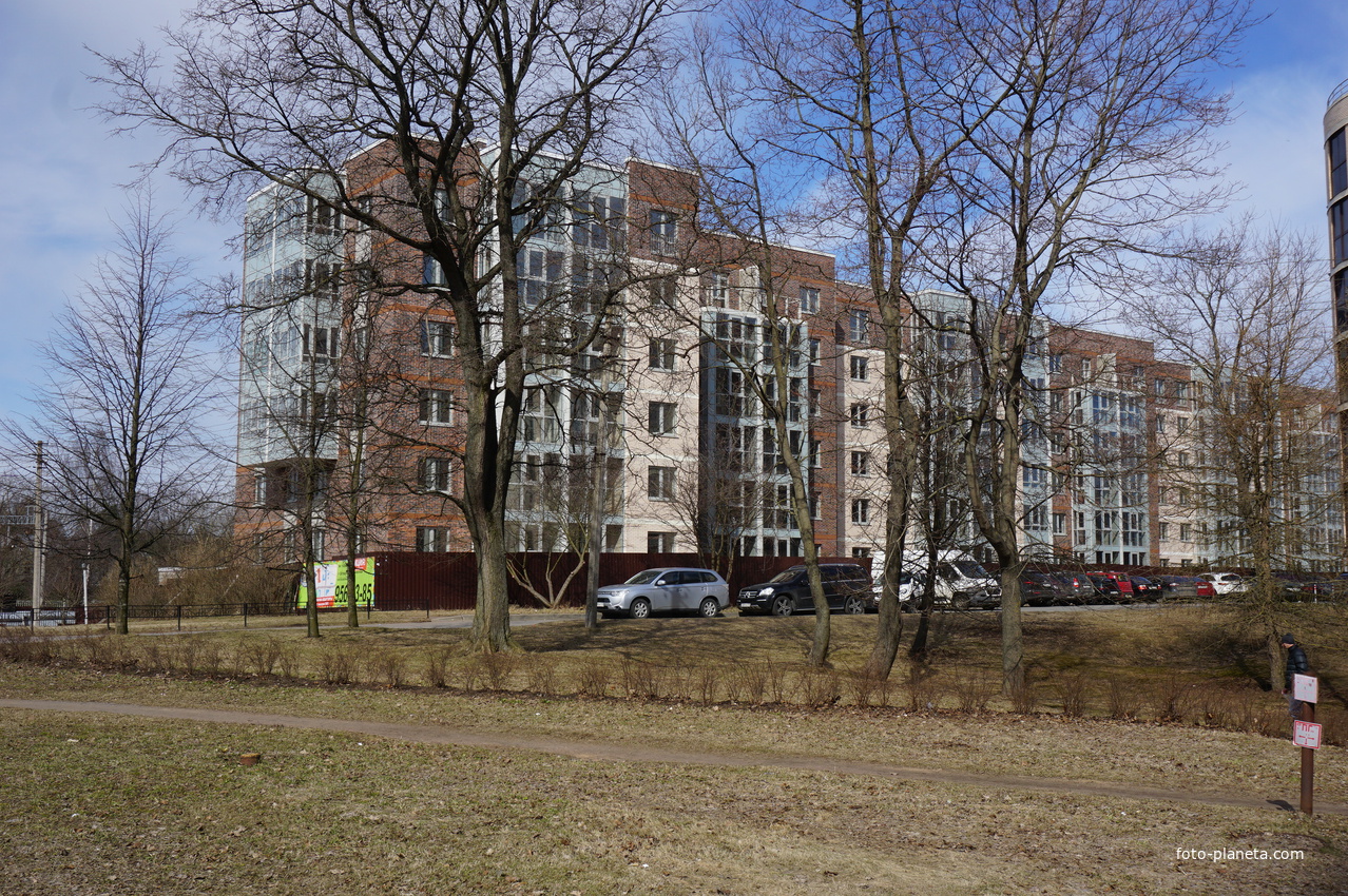 г.Сестрорецк.